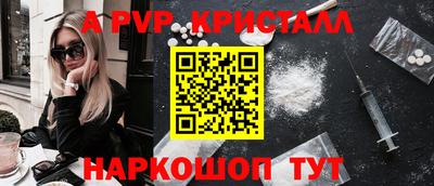 спиды Новодвинск