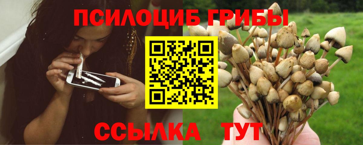 Урус-Мартан  Псилоцибиновые грибы прущие грибы  Вход с VPN 